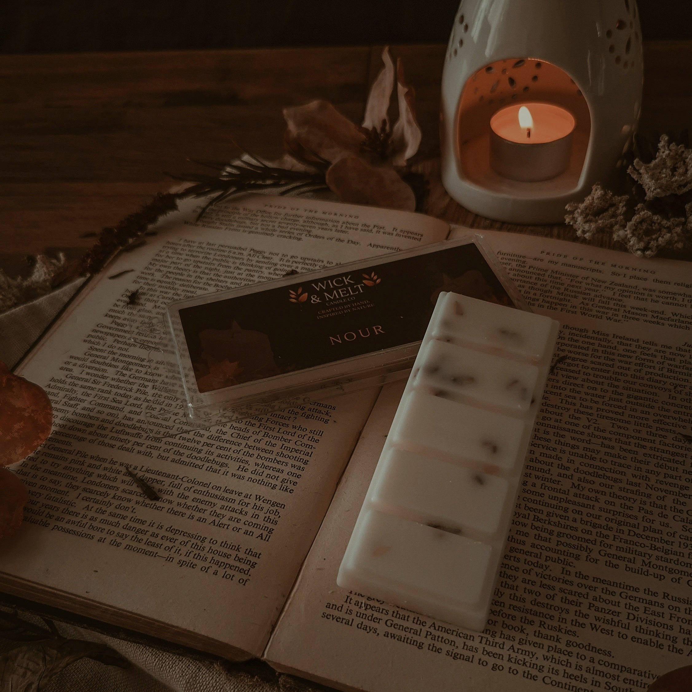 Crackling Log Fire Wax Melts