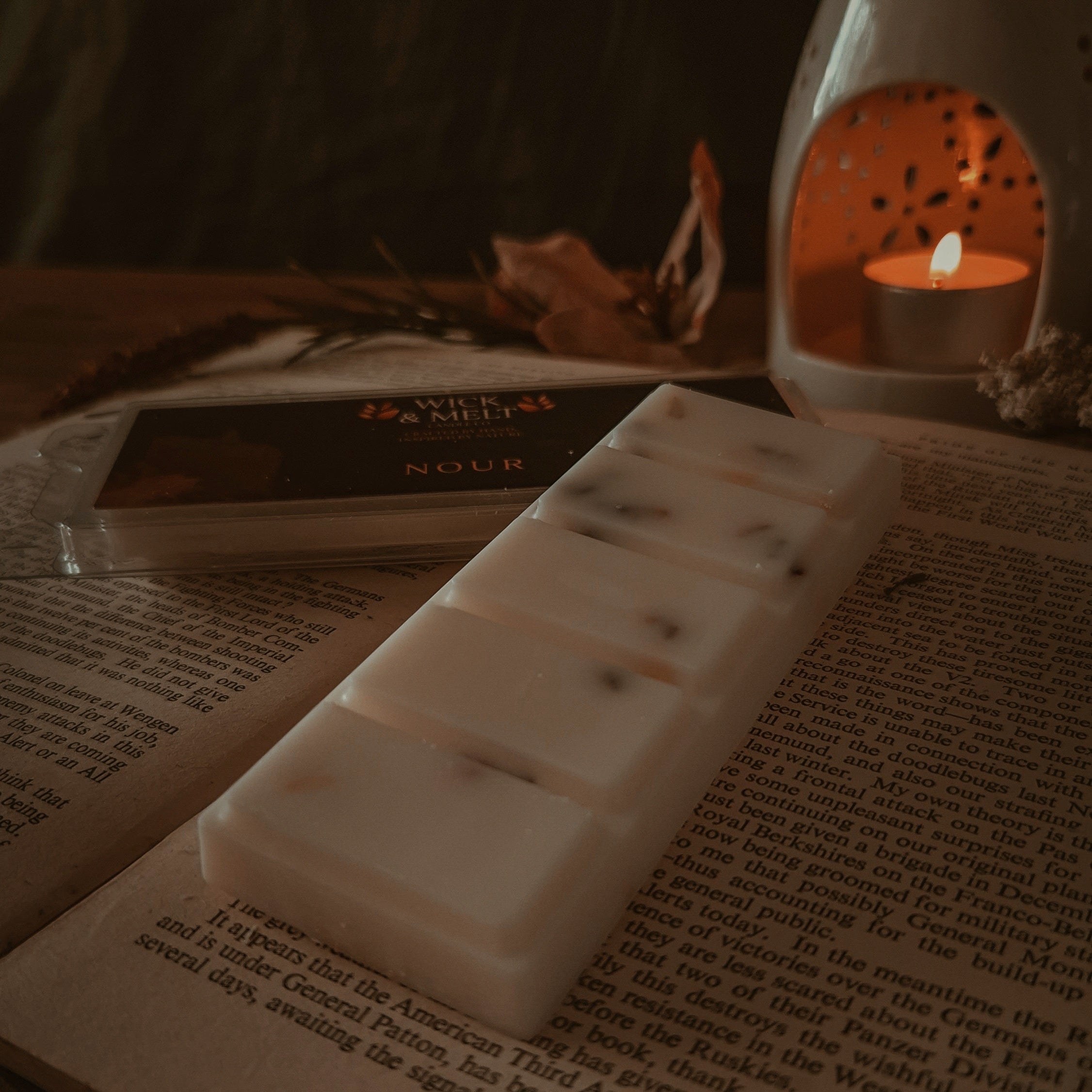 Crackling Log Fire Wax Melts