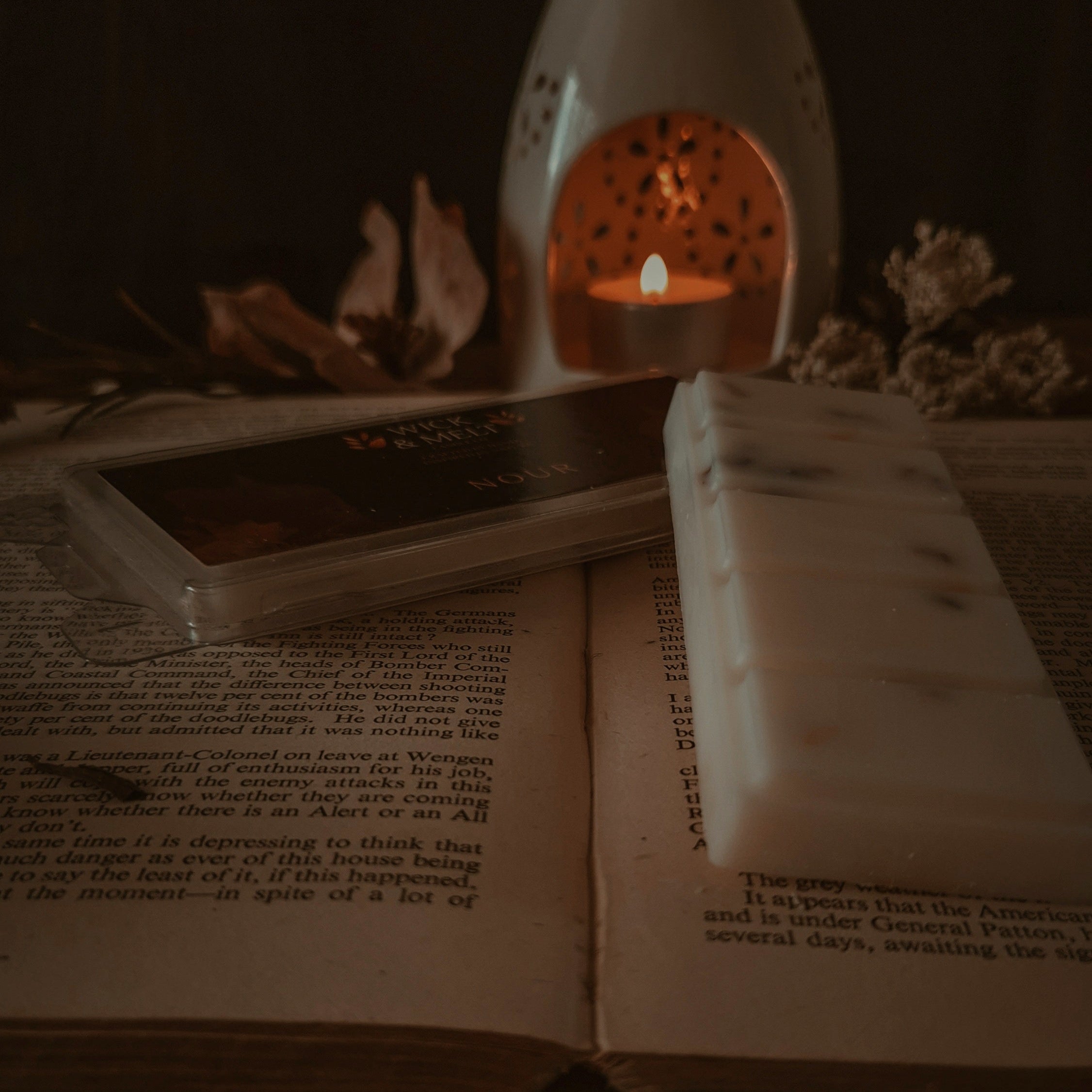 Crackling Log Fire Wax Melts