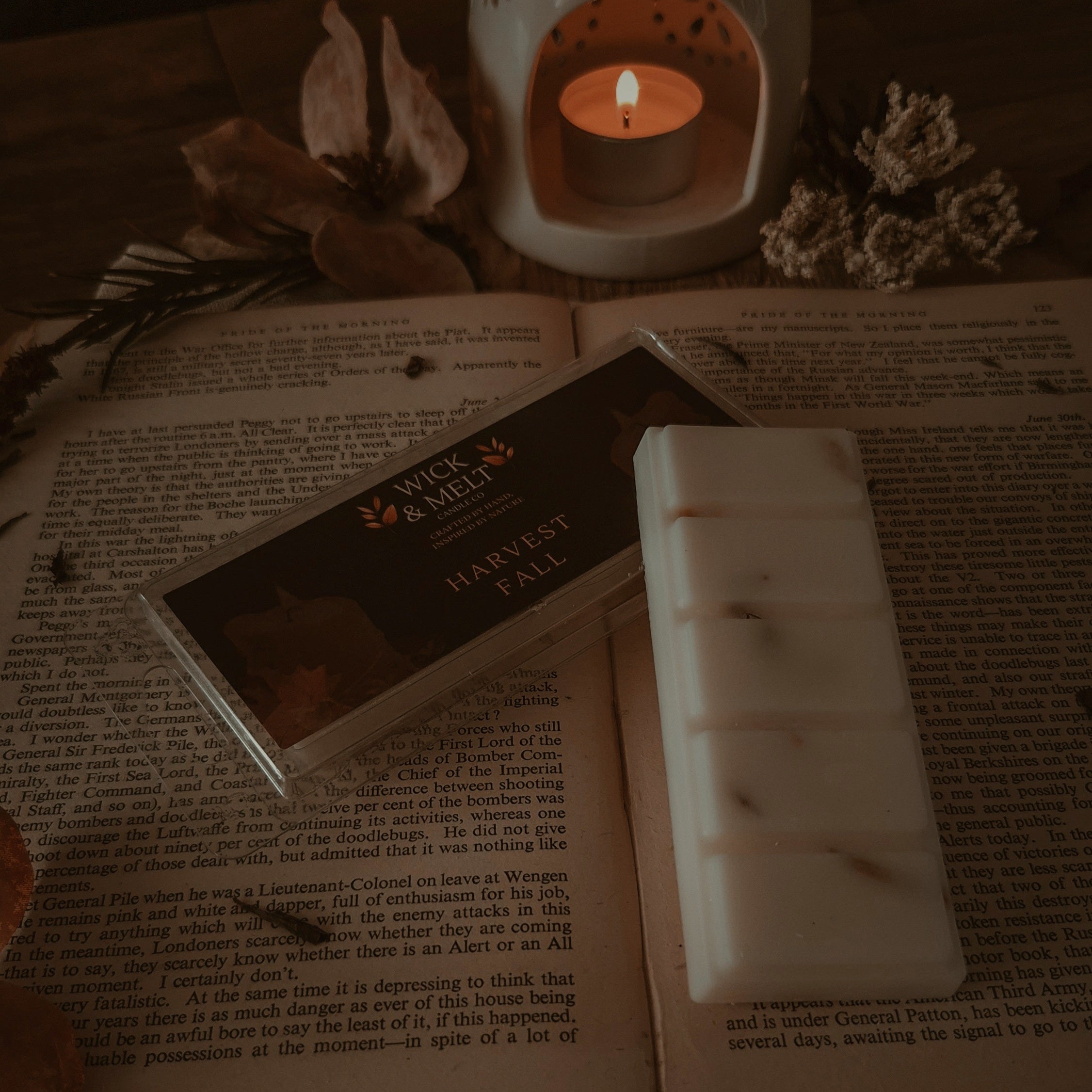 Harvest Fall Wax Melt