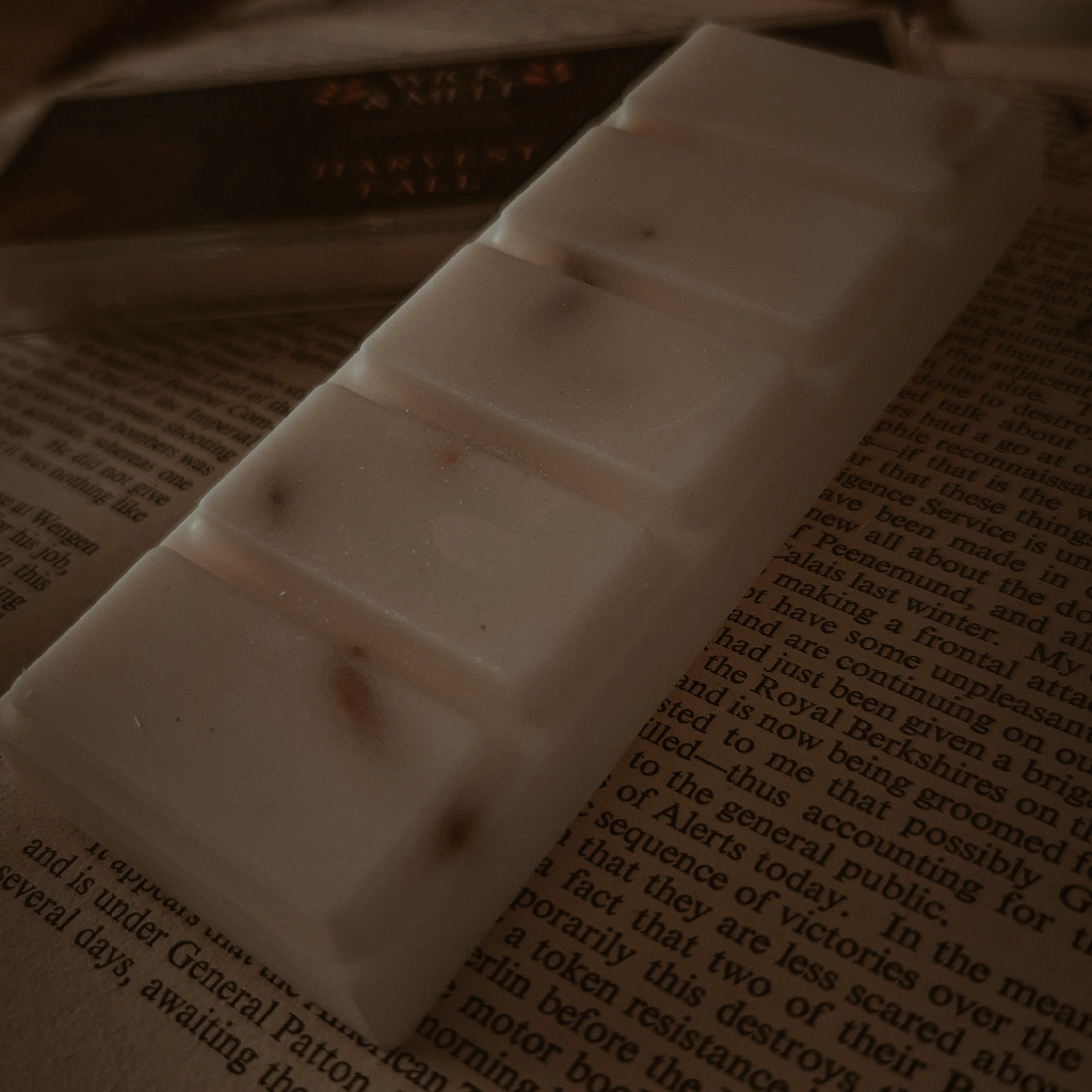 Harvest Fall Wax Melt