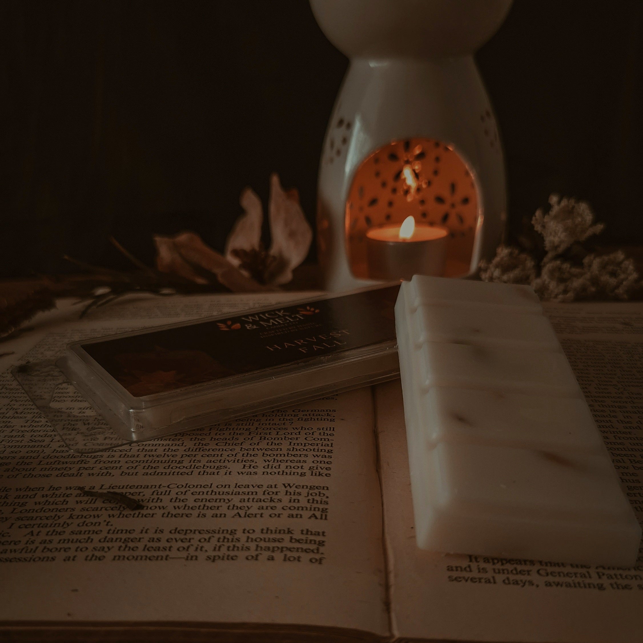 Harvest Fall Wax Melt