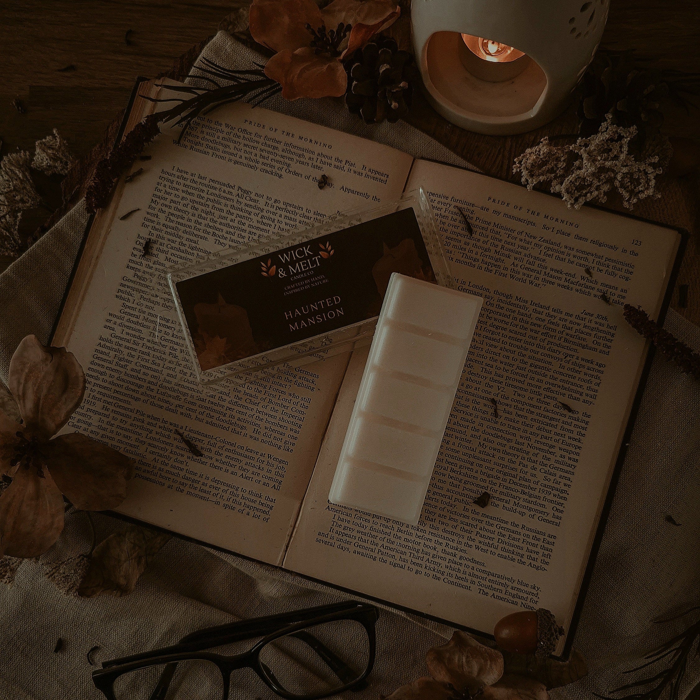 Haunted Mansion Wax Melts