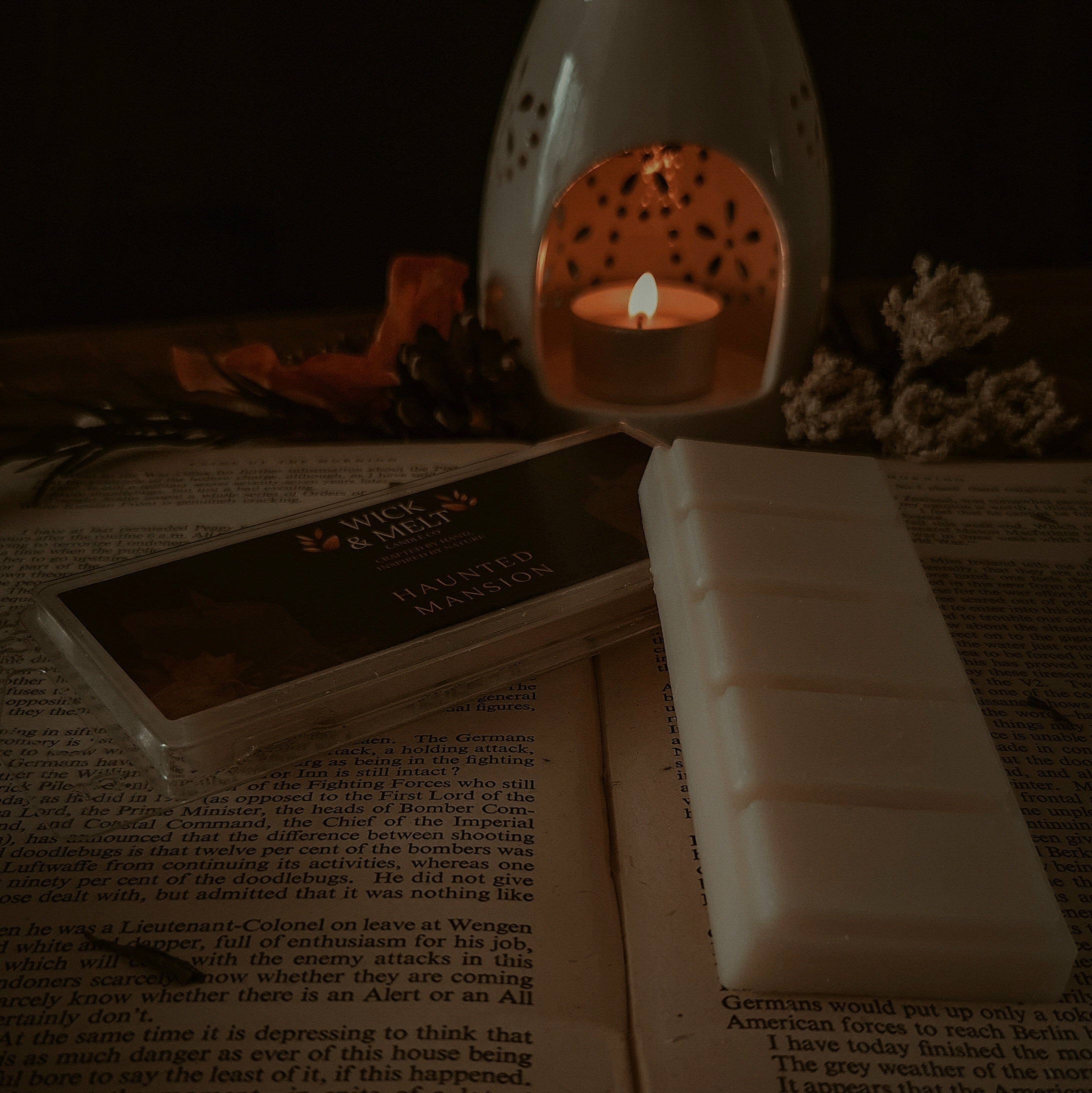 Haunted Mansion Wax Melts