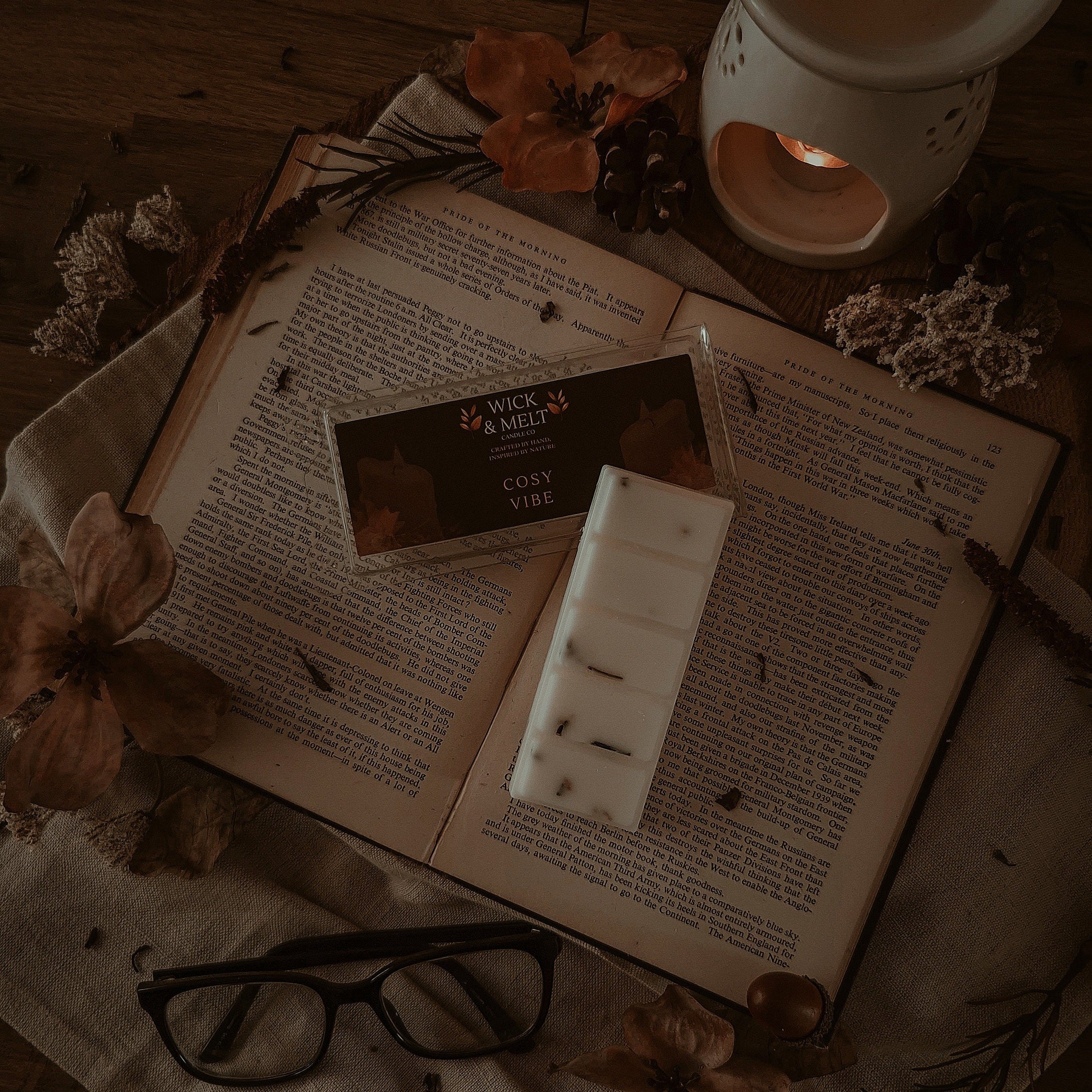 Cosy Vibe Wax Melts