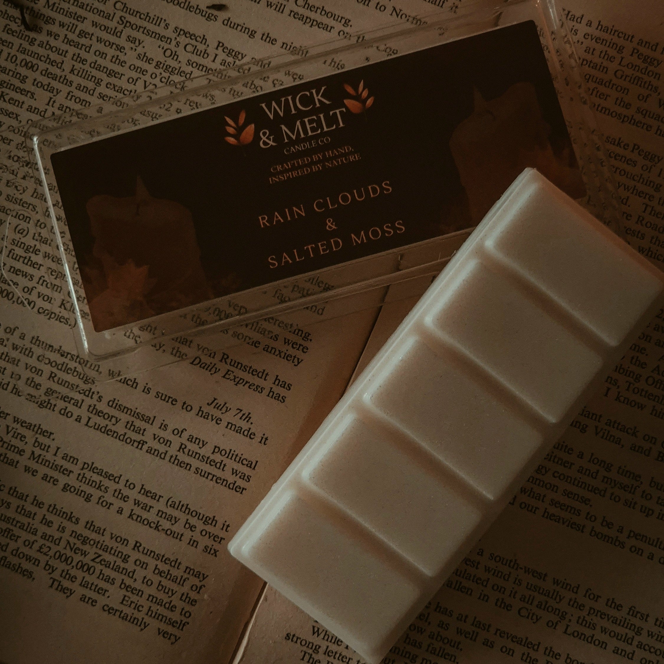 Rain Clouds & Salted Moss Wax Melts