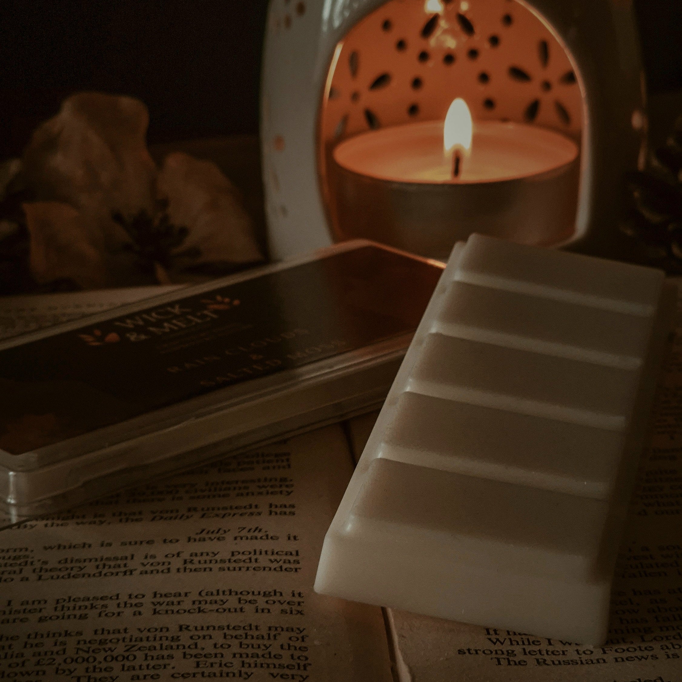 Rain Clouds & Salted Moss Wax Melts