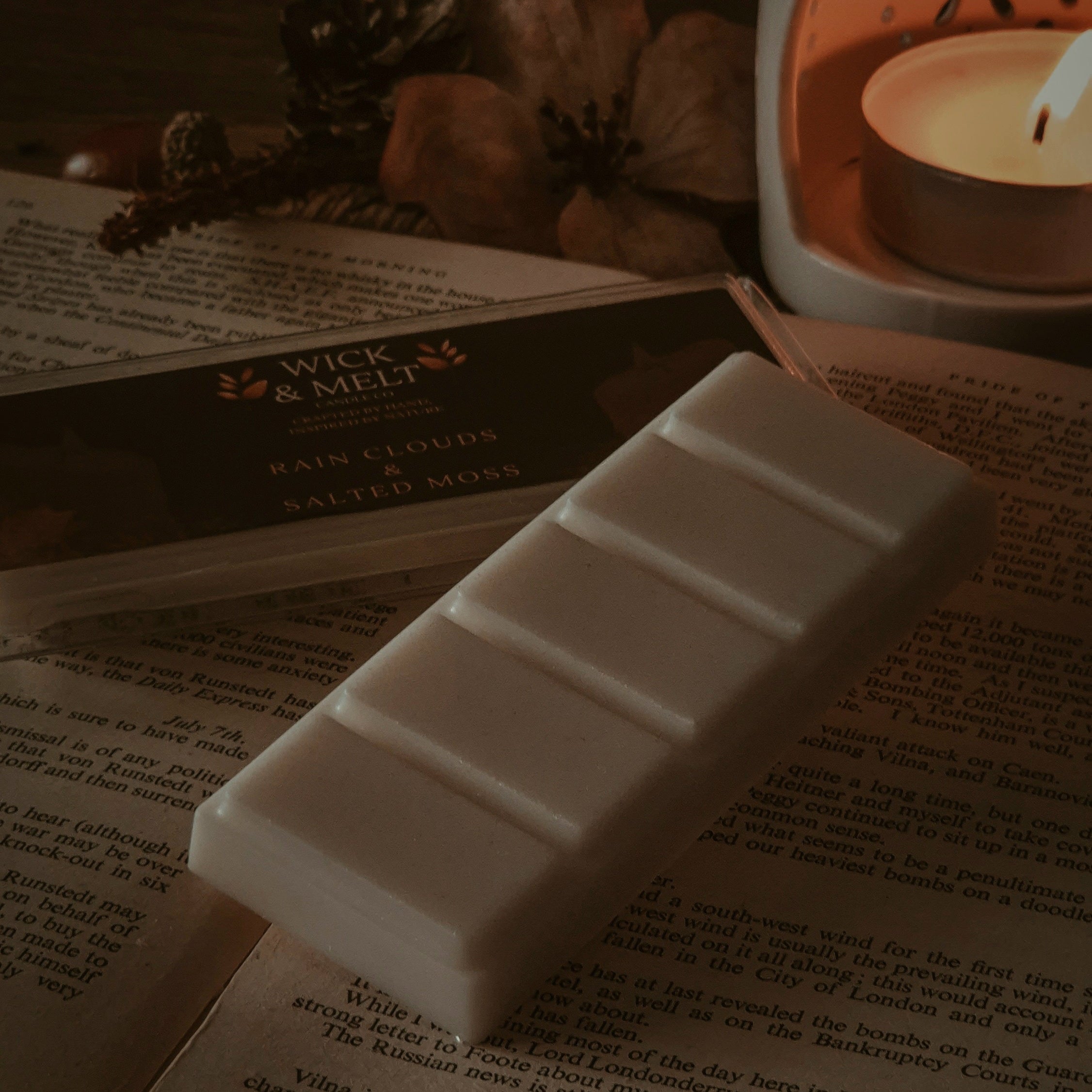 Rain Clouds & Salted Moss Wax Melts