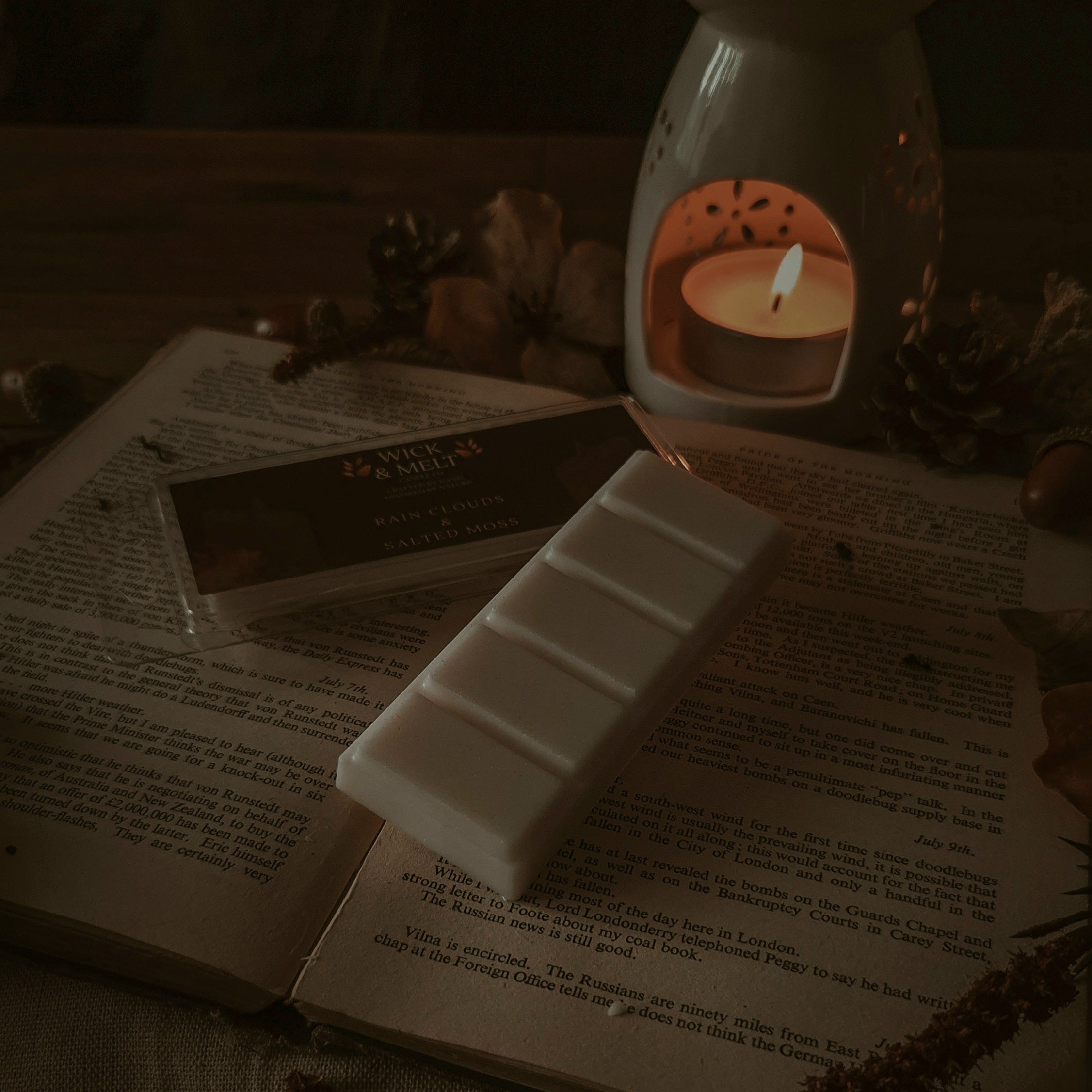 Rain Clouds & Salted Moss Wax Melts