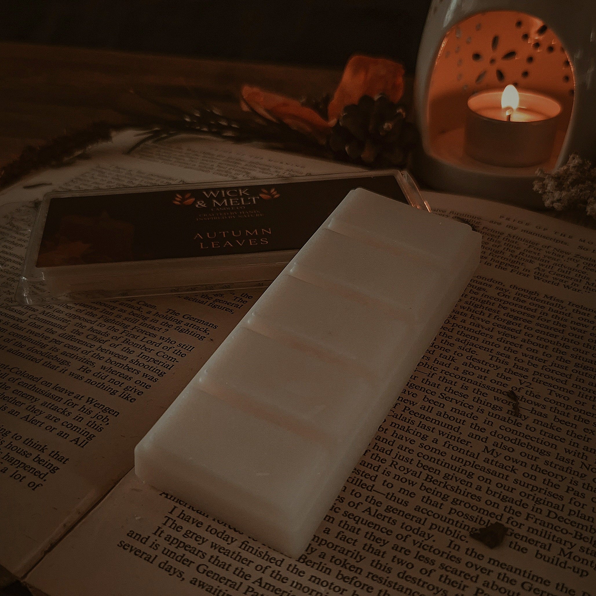 Autumn Leaves Wax Melts