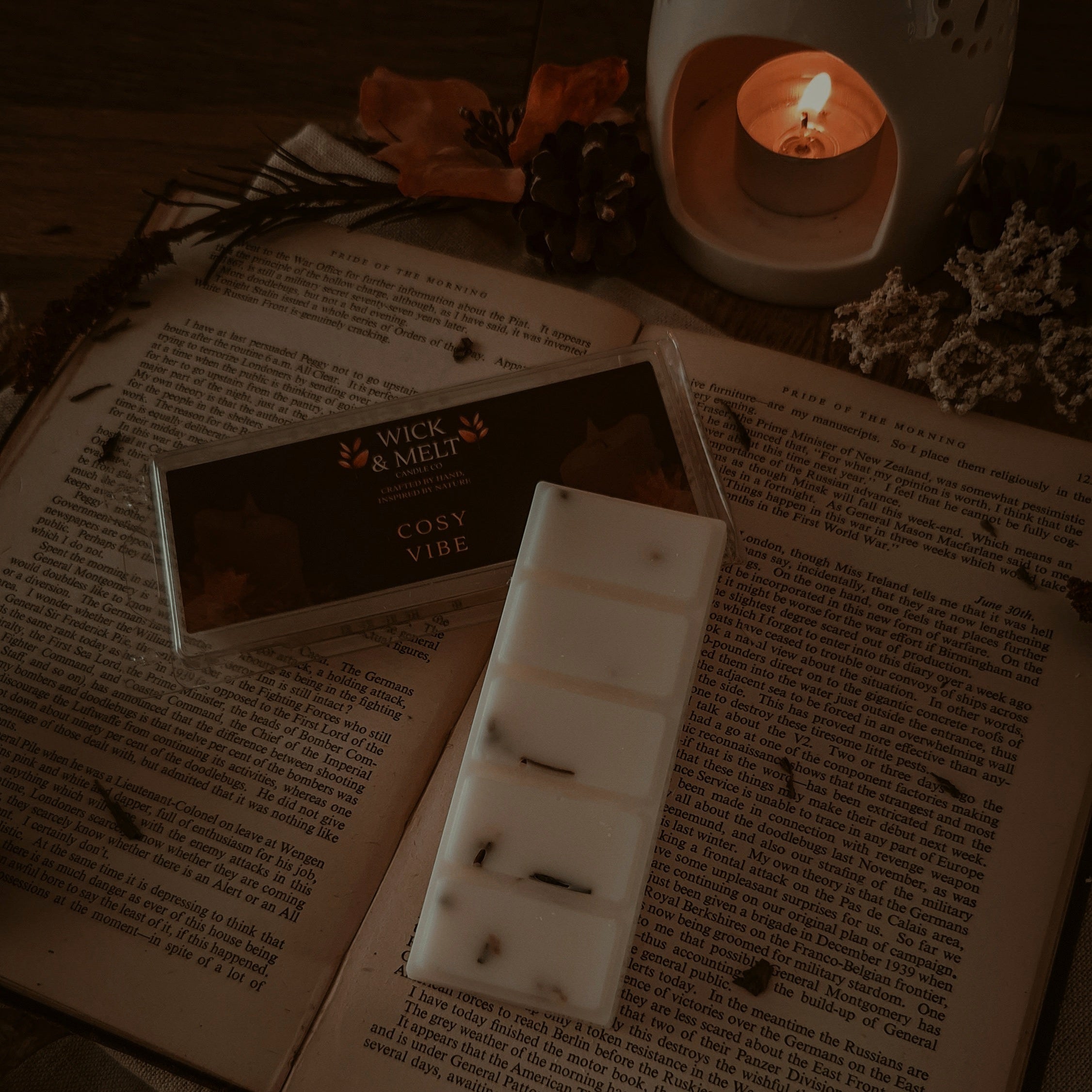 Cosy Vibe Wax Melts