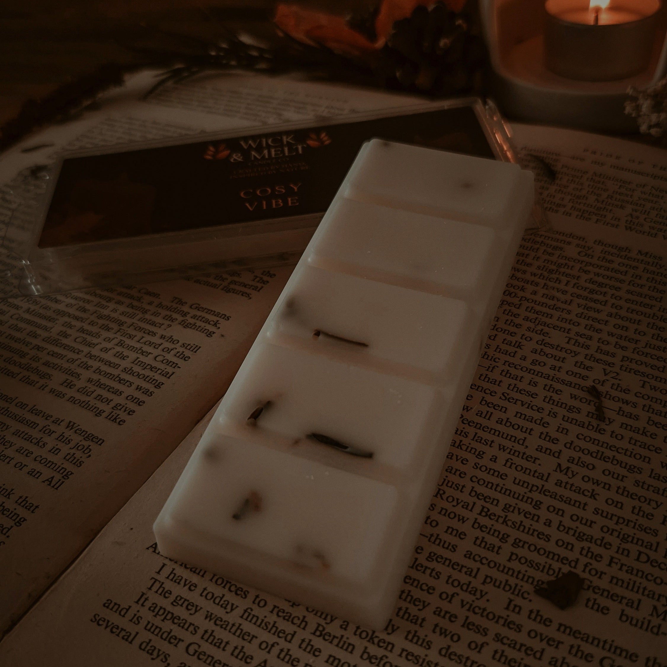 Cosy Vibe Wax Melts