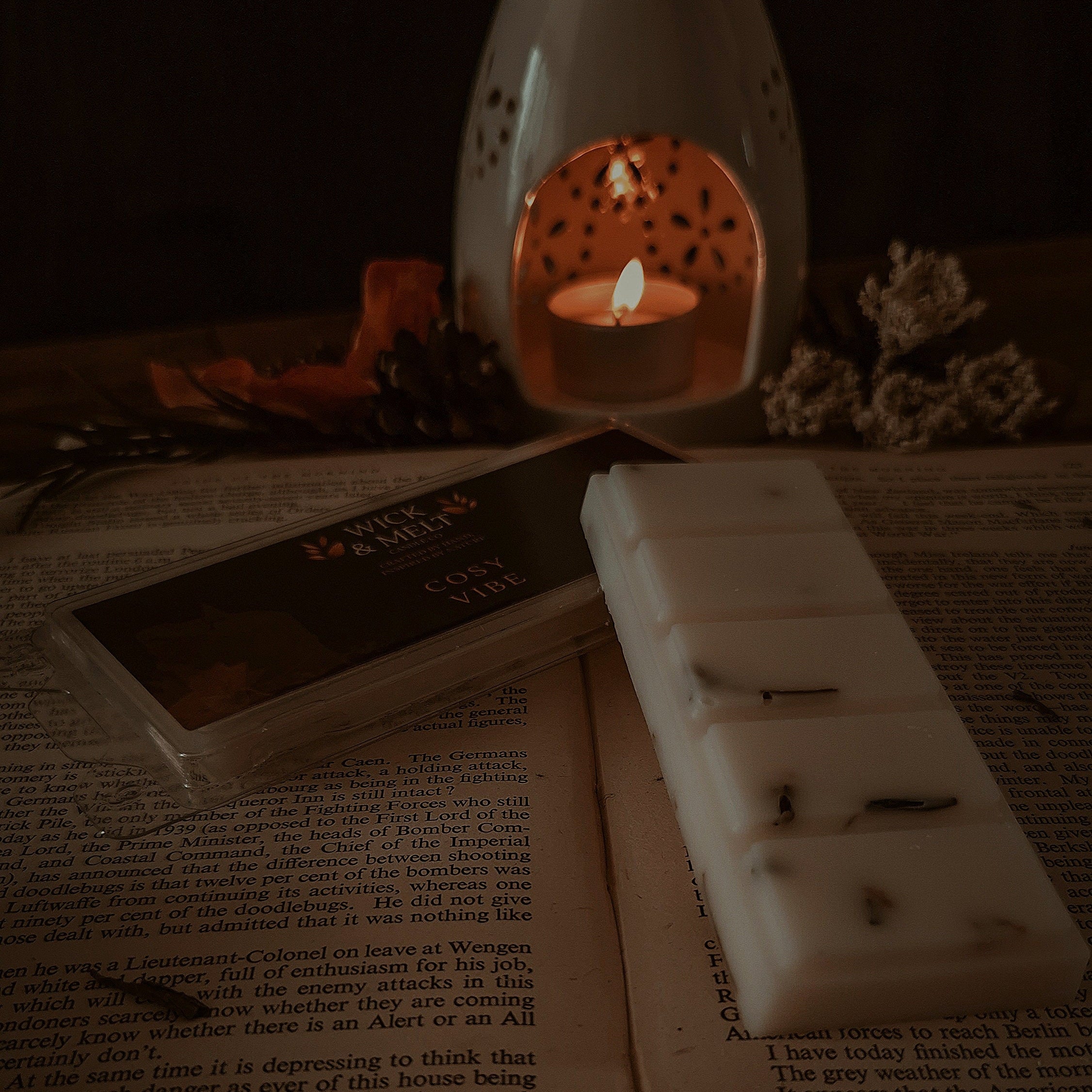 Cosy Vibe Wax Melts